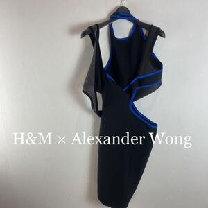 H&M × Alexander Wong fitted dress ドレス M