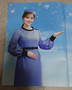 白石麻衣　乃木坂46　まいやん　mai shiraishi　アイドル　激かわアイドル　パンフレット　カタログ　新品　未使用　非売品　希少品　管mai