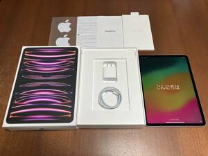 Apple SIMフリー iPad Pro M2 11インチ(第4世代) Cellular 256GB スペースグレイ MNYE3J/A