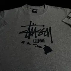 “Hawaii” old stussy 紺タグ プリント Tシャツ USA製