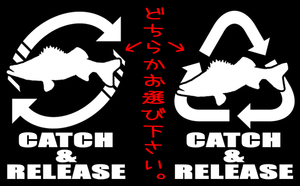 CATCH＆RELEASE 鱸 　　　　　　　　　海釣り キャッチアンドリリースシーバス ステッカー スズキ chiaki