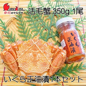 【かにのマルマサ】北海道産 活毛ガニ350g 1尾 北海道ぎょれん いくら正油漬90g 1本 海鮮セット