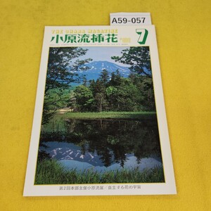 A59-057 小原流挿花 1981年7月号 自立する花の宇宙/夏の色の音他 小原流文化事業部 傷汚れ書き込みあり。