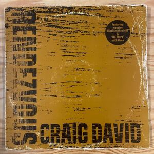 CRAIG DAVID/RENDEZVOUS/BLACKSMITH R&B RERUB/GURU/レコード/中古/DJ/club/hiphop