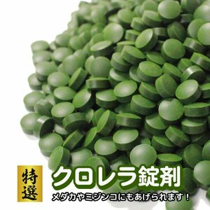 【送料全国一律385円】メダカ 餌【特選クロレラ錠剤 50ｇ約250粒】金魚 エビ プレコにもお勧め！めだか ゾウリムシ PSB と同梱可能