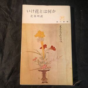 いけ花とは何か 角川新書　北条明直　角川書店　gb 初版