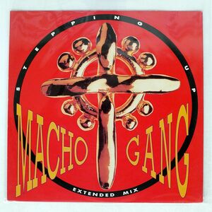 伊 MACHO GANG/STEPPING UP/TIME TRD1254 12