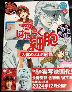 ■新品/送料無料■はたらく細胞 人体のふしぎ図鑑 からだのしくみを学べる！ 講談社／編