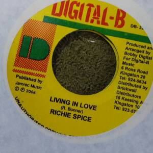 Ting A Ling Riddim Single 2枚Set from Digital-B Richie Spice Tony Curtis