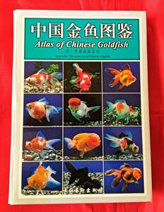 大幅値下げ! 　中国語　中国金魚図鑑　Atlas of chinese Goldfish　金魚の本 中文 257p