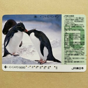 【使用済】 イオカード JR東日本 イワトビペンギン