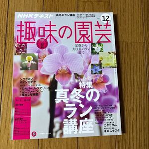 趣味の園芸　真冬のラン講座 趣味の園芸