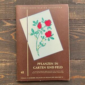 ドイツの古い植物図鑑(PFLANZEN IN GARTEN UND FELD)/アンティーク ヴィンテージ ヨーロッパ 洋書 植物画 ボタニカルアート 花 雰囲気◎/