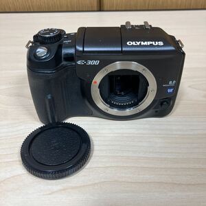 Olympus E300 デジタルカメラ　3