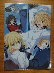 クリアファイル　A4 TYPE-MOON　とある魔術の禁書目録　2枚組　Newtype　付録