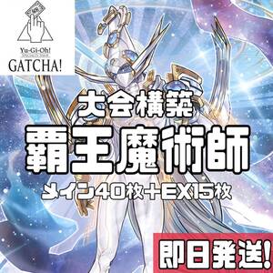 即日発送！大会用　覇王魔術師　デッキ　遊戯王　S:Pリトルナイト　閉ザサレシ世界ノ冥神