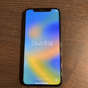 iPhone X 256GB