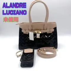 ✨未使用✨ALANDRE LUCIANO ハンドバッグ ミニポーチ付き 2way