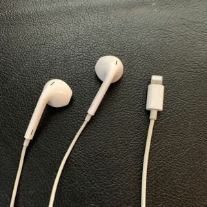 純正品 アップル イヤフォン 有線イヤホン　動作品