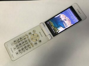 GK880 docomo P-01J 判定〇 ジャンク