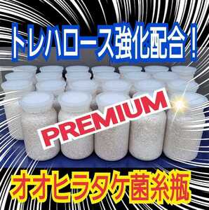 特選！プレミアム菌糸ボトル【5本】オオヒラタケ初菌のみで作成☆特殊アミノ酸配合！クヌギ生オガ100％原料使用☆国産オオクワガタ85㎜実績