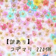 【訳あり】押し花素材 ： コデマリ 220個（164 ネイル パーツ レジン）