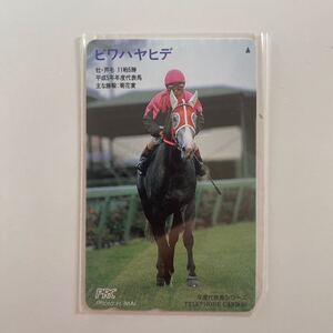 ビワハヤヒデ　テレホンカード 競馬　JRA 菊花賞