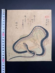 【真作】狂歌 本物浮世絵木版画 葛飾北斎「蛇」江戸期 中判 保存良い