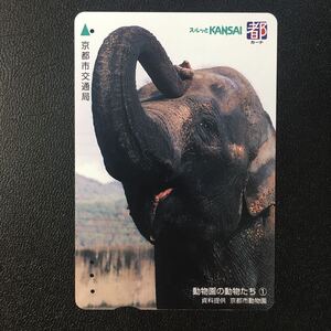 京都市交通局/2002年度発売開始柄ー「京都市動物園のなかまたち①ゾウ」ー都カード(使用済/スルッとKANSAI)