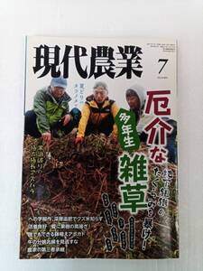 現代農業 2021年 7月号 厄介な多年生雑草 地下組織のたくらみを暴け！ 常識破りの極太極長アスパラ 農山漁村文化協会 240627