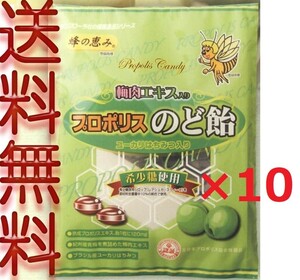 プロポリス入り 梅肉のど飴　80g　×10袋 キャンディー【代引可】【送料無料】