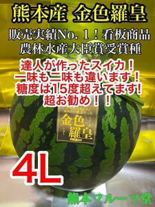 【こちらの商品これでラスト】熊本産【金色羅皇】秀品4Lサイズ（1玉9〜10kg）熊本フルーツ堂85