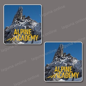 ☆即納☆　arcterx alpine academy　ステッカー　デカール　並行輸入