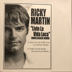 Ricky Martin / Livin La Vida Loca