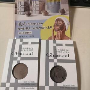 ナイアード　ガスール　固形タイプ　粉末タイプ　フェイスパック　クレイマスク　サンプル　お試し　各1回分　送料140円