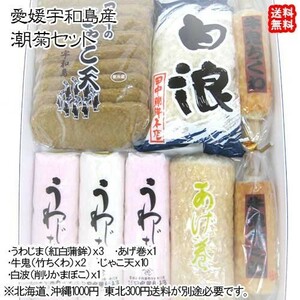 愛媛 宇和島 ( 潮菊 ） 手作り 練り物セット 蒲鉾100g3本 あげ巻250g1本 竹輪90g2本 削り節1袋 じゃこ天45g10枚