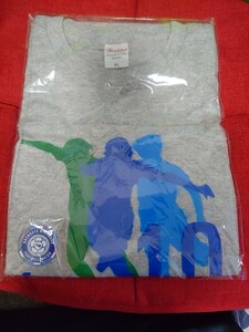 【スカパーオリジナル】SHUNSUKE NAKAMURA FAREWELL MATCH☆Tシャツ☆XLサイズ☆中村俊輔選手