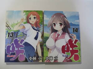 咲～SAKI 第１３巻＆第１４巻