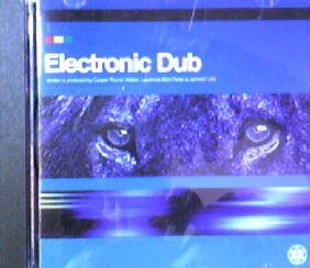 @ $ Electronic Dub / Electronic Dub 【CDS】 (RSN CD21) Y4+【CDS】 