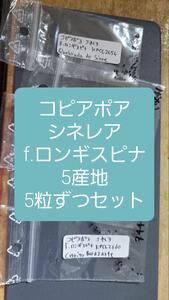 コピアポア　シネレア f.ロンギスピナ　5産地　5粒ずつセット