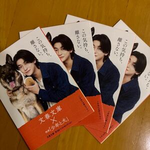 少年と犬 冊子 4冊 高橋文哉