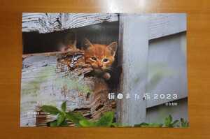 ☆岩合光明２０２３カレンダー☆『猫にまた旅』☆週刊朝日特別付録☆岩合家の愛猫、タマ＆トモ☆シネマスター猫の休日☆切り抜き☆ 