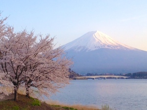 世界遺産 富士山27 写真 A4又は2L版 額付き