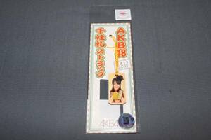 ★AKB48推し千社札ストラップ2011秋冬ver.山内鈴蘭★送料無料