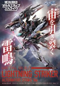 【新品未開封】伝票跡無 METAL BUILD ライトニングストライカー オルタナティブストライク Ver. 輸送箱 バンダイ プレバン限定 国内正規品