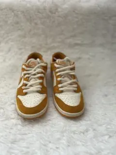 nike sb zoom dunk low pro circuit orange