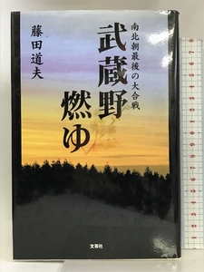 武蔵野燃ゆ―南北朝最後の大合戦 文芸社 藤田 道夫