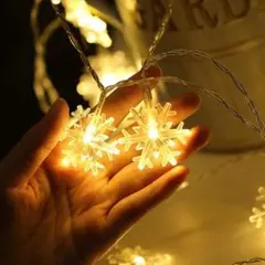 イルミネーションライト 雪型LED 40LED 電池式 ハロウィーン クリスマス