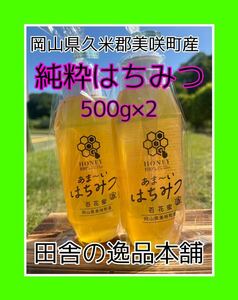 あま〜い♪おかやま産 搾りたて♪はちみつ500g×2 令和6年5月採蜜