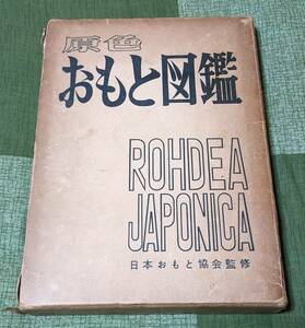 誠文堂　新光社　原色おもと図鑑　日本おもと協会監修　　第1版　昭和３６年１１月１５日　中古本